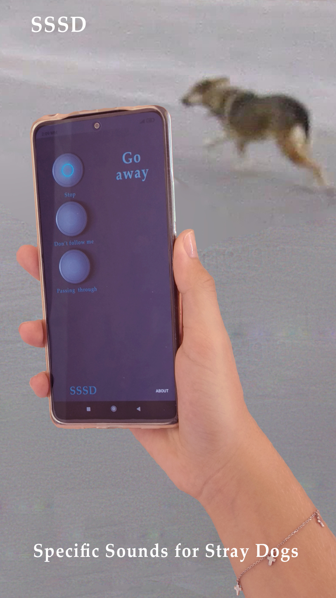 App screenshot img